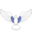 Logo SAJE Distribution