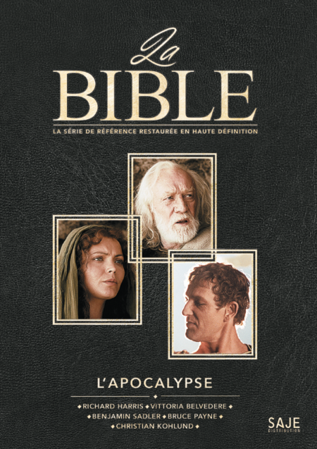 Affiche du film L'Apocalypse - La série la Bible