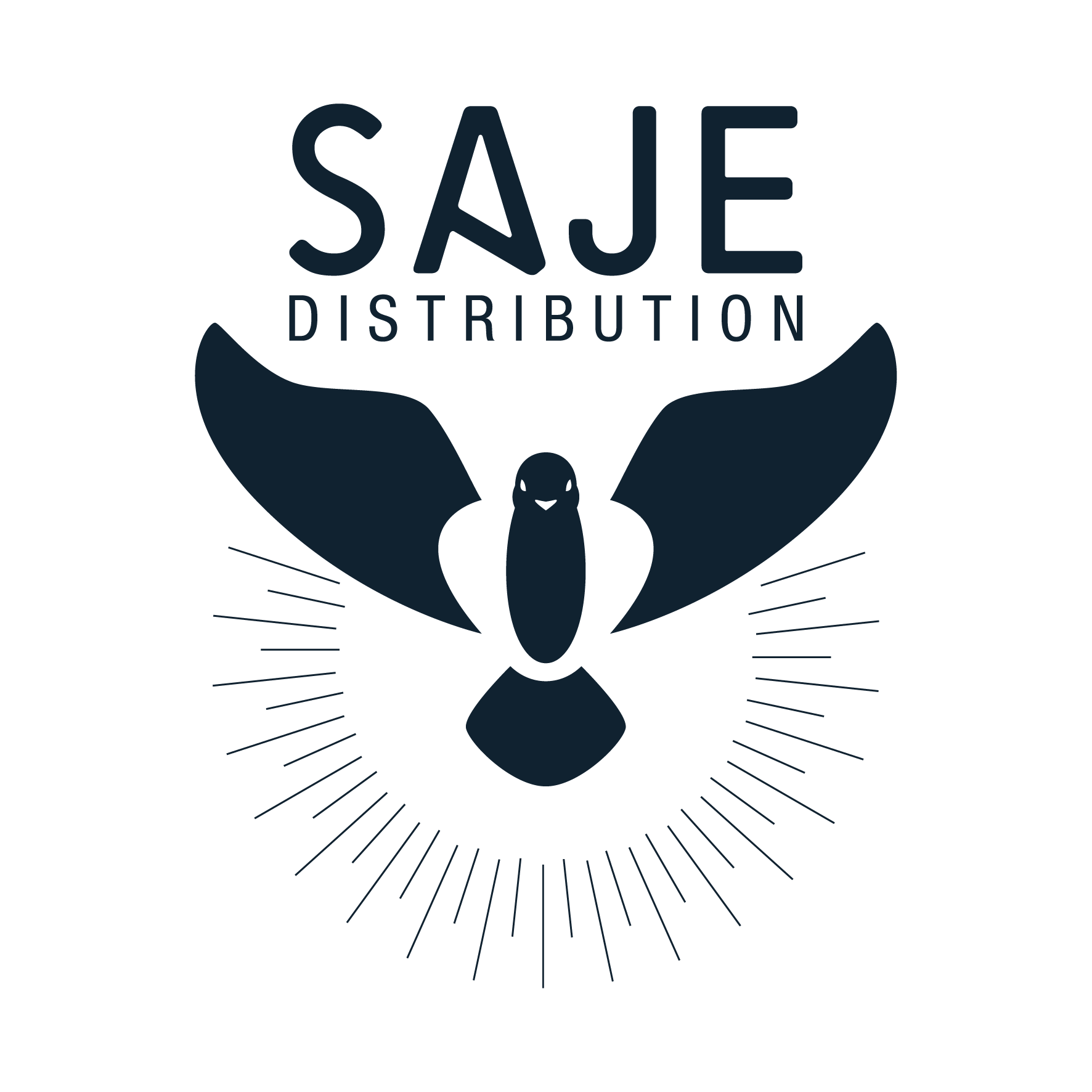 Logo SAJE