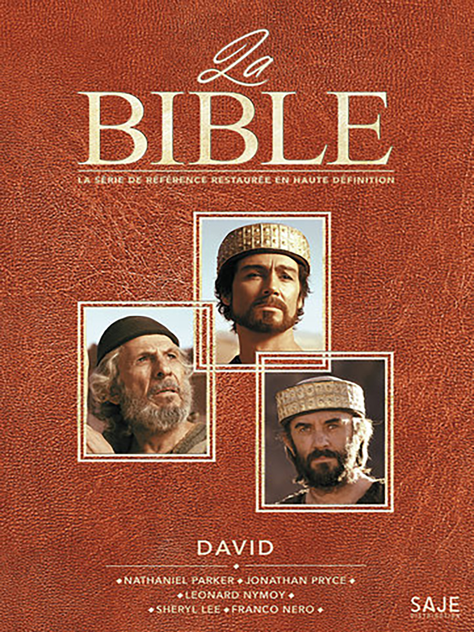 David - La série la Bible